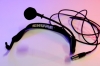 Shure Headset/Bügelmikrofon WH20,  PG BLX4 Sendeanlage,  Tagesmiete - Mieten